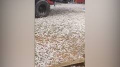 Hailstorm : চৈত্র পড়তেই জেলায় জেলায় শিলাবৃষ্টি ? কীভাবে অত ওপরে জমাট বাঁধে বরফ, নেমে আসে গোলার মত ?