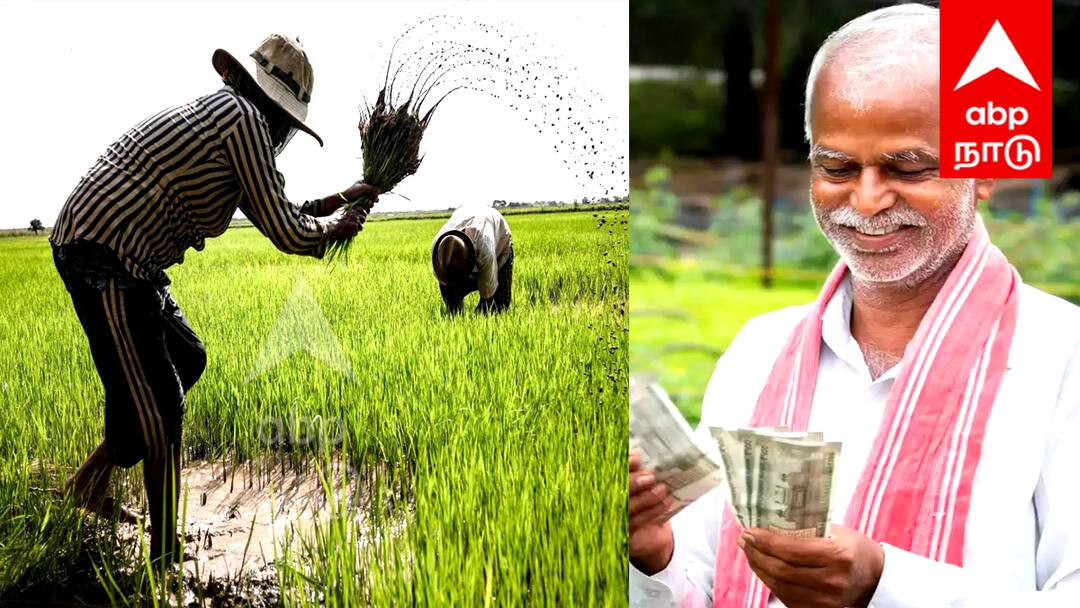 Agri Stack: விவசாயிகளே உங்களுக்கு தான் ! உடனே இதை பதிவு செய்யுங்கள்