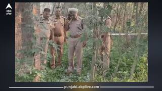 Punjab News: ਤੜਕ ਸਵੇਰੇ ਗੋਲੀਆਂ ਦੀਆਂ ਤਾੜ-ਤਾੜ ਨਾਲ ਦਹਿਲਿਆ ਸ਼ਹਿਰ, ਜਲੰਧਰ 'ਚ ਗ੍ਰਨੇਡ ਹਮਲਾ ਕਰਨ ਵਾਲੇ ਦਾ ਹੋ ਗਿਆ ਐਨਕਾਊਂਟਰ