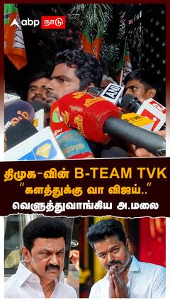 Annamalai Slams TVK : 