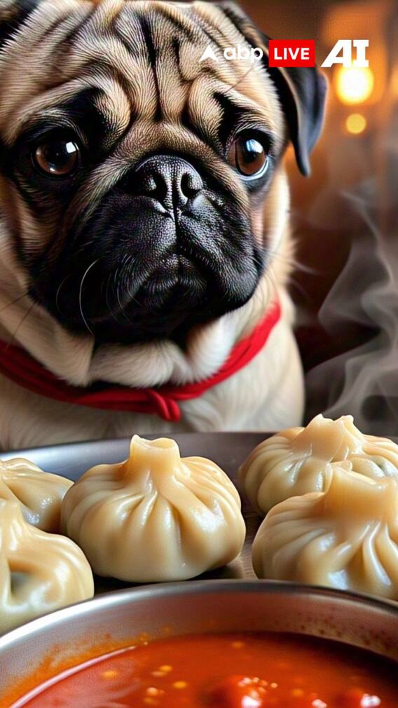 'कुत्ते के कटे सिर' वाले मोमोज को लेकर लोगों ने क्या बताया?