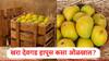 तुम्ही घेतलेला आंबा खरा देवगड हापूसच आहे का? या टेक्नॉलॉजीच्या मदतीने क्षणार्धात ओळखता येणार, वाचा सविस्तर