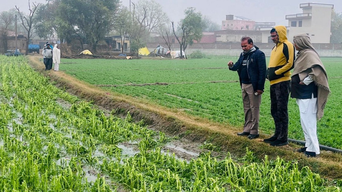 यूपी के कई जिलों में हुई बारिश, गिरे ओले, अगले कुछ तक ऐसा ही रहेगा मौसम