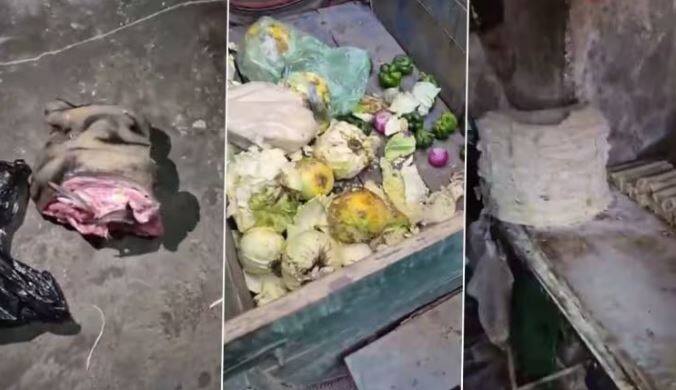 Cat or Dog Meat Being Used To Make Momo in Mohali? ਮੋਹਾਲੀ 'ਚ ਚਿਕਨ ਮੋਮੋਜ਼ ਬਣਾਉਣ ਲਈ ਵਰਤਿਆ ਜਾ ਰਿਹਾ ਕੁੱਤੇ ਤੇ ਬਿੱਲੀ ਦਾ ਮਾਸ ? ਵੀਡੀਓ ਵਾਇਰਲ ਹੋਣ ਮਗਰੋਂ ਸਿਹਤ ਵਿਭਾਗ ਨੇ ਲਏ ਨਮੂਨੇ