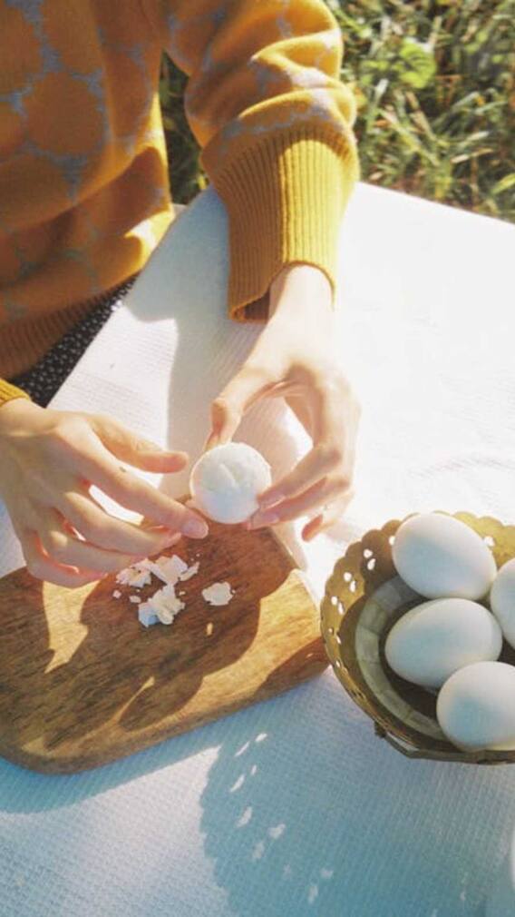 गमले में अंडे के छिलके क्यों डाले जाते हैं?