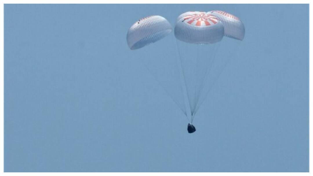 Sunita Williams and Wilmore safely return to Earth from space Sunita Williams Returns: సునీతమ్మ వచ్చేసిందోచ్‌- సురక్షితంగా అంతరిక్షం నుంచి అమ్మ ఒడికి