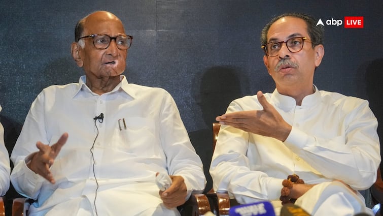 RSS Sunil Ambekar reaction on Aurangzeb tomb Nagpur violence Uddhav Thackeray Sharad Pawar faction औरंगजेब विवाद पर RSS ने दिया ऐसा बयान, शरद पवार और उद्धव ठाकरे गुट ने किया स्वागत