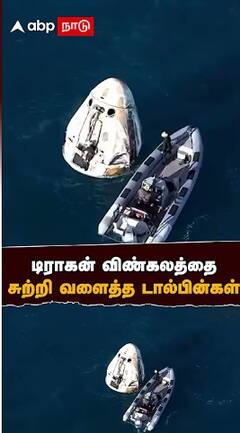 Dolphin welcome Sunita Williams | டிராகன் விண்கலத்தை சுற்றி வளைத்த டால்பின்கள்