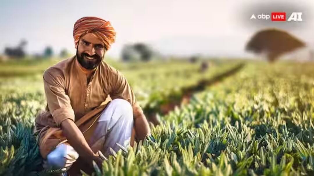 Rajasthan Farmers Registration To sell mustard and gram Crops at MSP will start from 1 April know details Rajasthan: राजस्थान के किसानों के लिए खुशखबरी! 1 अप्रैल से शुरू होगा रजिस्ट्रेशन, जानें डिटेल्स
