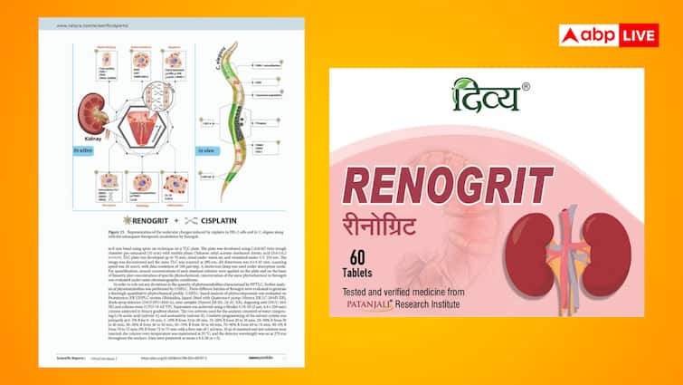 किडनी की दवा रीनोग्रिट ने अंतरराष्ट्रीय शोध सूची में बनाई जगह, पतंजलि ने बताया ऐतिहासिक उपलब्धि