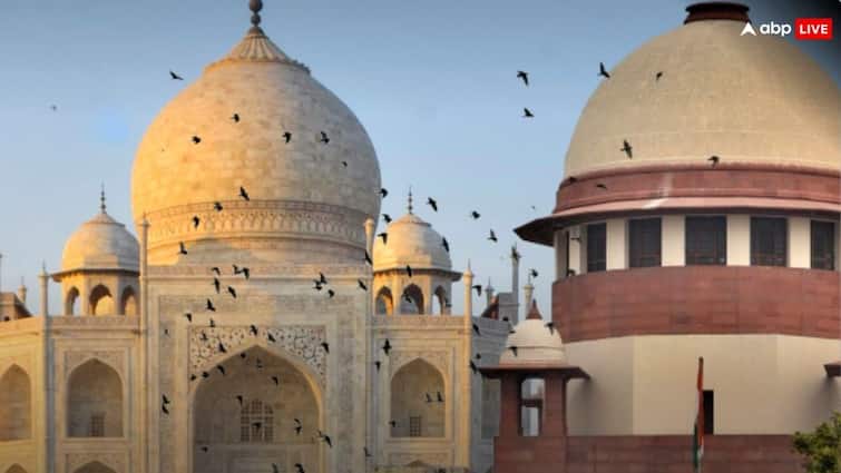Supreme Court angry on UPSBCL over extend Flyover work and tree cutting ताजमहल के पास 198 पेड़ों की कटाई? सुप्रीम कोर्ट ने UPSBCL को लगाई फटकार, कहा- हमारी इजाजत के बिना कैसे...