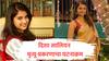 Disha Salian : नितेश राणेंचा आदित्य ठाकरेंवर थेट आरोप, दिशा सालियन केसचा घटनाक्रम काय?