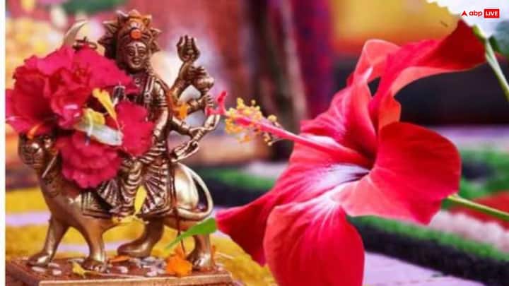 चैत्र का महीना मां दुर्गा को समर्पित होता है, इस माह में नवरात्रि के दौरान माता को लाल गुड़हल का फूल, लाल चुनरी जरुर चढ़ाएं. मान्यता है इससे मां जल्द प्रसन्न होती हैं और भक्तों की मनोकामना पूर्ण करती हैं.