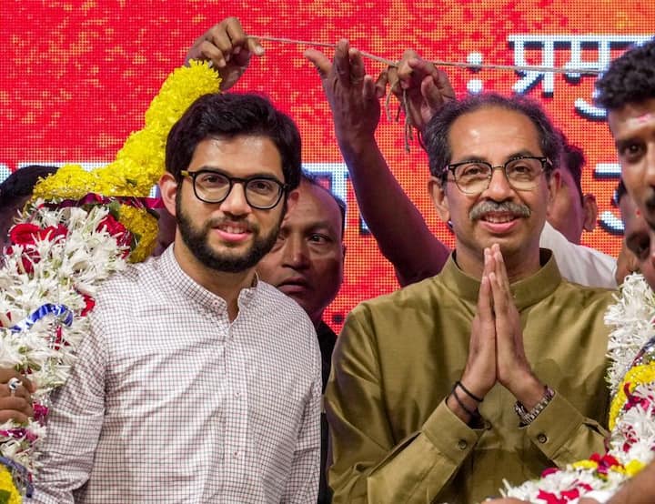 सदर सर्व माहिती असुनही राज्याचे प्रमुख या नात्यानं मुख्यमंत्री उद्धव ठाकरे यांनी कोणतीही कारवाई केली नाही, उलट घडलेली घटना, संबंधित व्यक्त आणि भ्रष्ट अधिका-यांना पाठीशा घातलं. त्यामुळे त्यांचीही याप्रकरणी चौकशी झाली पाहिजे, असंही सतीश सालियन यांनी याचिकेतून म्हटलं आहे.