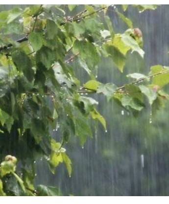 ਪੰਜਾਬ 'ਚ ਮੀਂਹ-ਹਨੇਰੀ ਦਾ ਅਲਰਟ, ਇਨ੍ਹਾਂ ਜ਼ਿਲ੍ਹਿਆਂ 'ਚ ਹੋਏਗੀ ਬਰਸਾਤ...