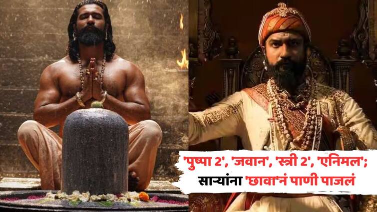 'पुष्पा 2', 'जवान', 'स्त्री 2', 'एनिमल'; साऱ्यांना 'छावा'नं पाणी पाजलं