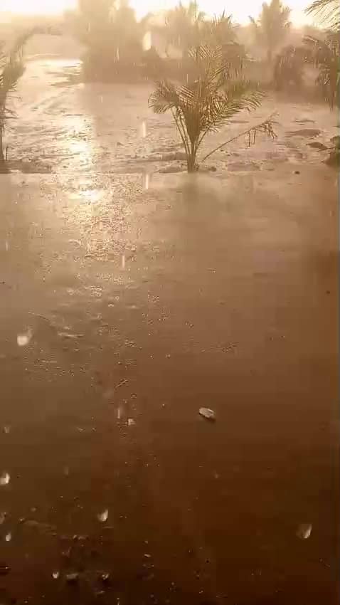 જો કે, આ કમોસમી વરસાદના કારણે ખેતીના પાકને નુકસાન થવાની પણ સંભાવના છે.