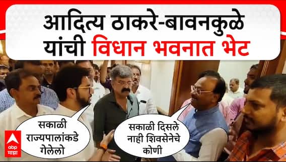 Aaditya Thackeray Chandrashekhar Bawankule Meet : आदित्य ठाकरे-बावनकुळे यांची विधान भवनात भेट