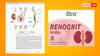 Patanjali Renogrit: అంతర్జాతీయ పరిశోధన జాబితాలో కిడ్నీ వ్యాధి ఔషధం 'రెనోగ్రిట్' - చారిత్రక విజయమన్న పతంజలి