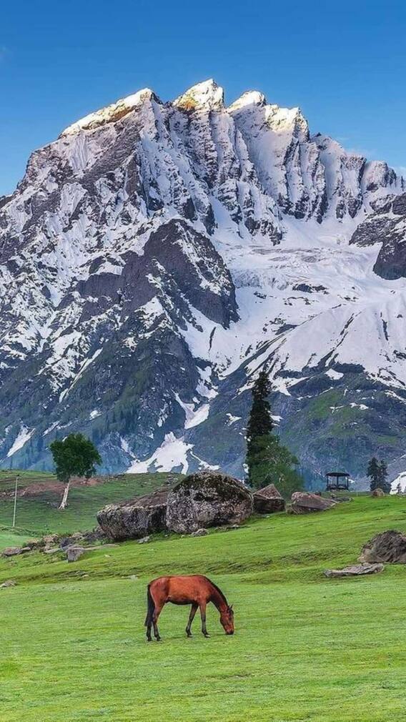 मार्च में गर्मी से राहत पाने के लिए जम्मू और कश्मीर के बेहतरीन हिल स्टेशन की करें सैर