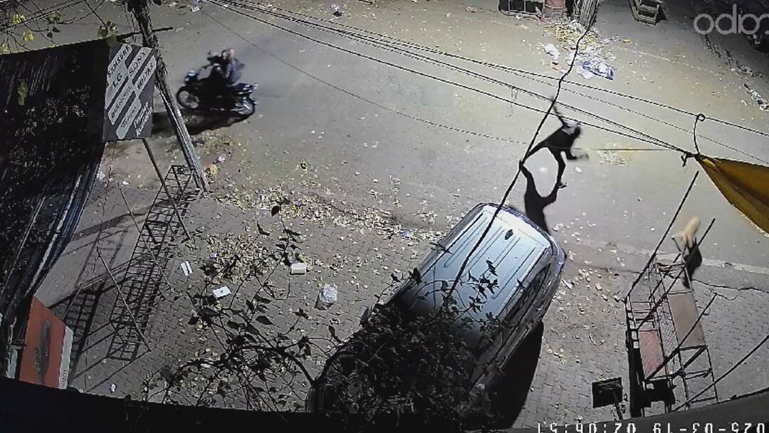 प्रयागराज: दहशत फैलाने के लिए जनरल स्टोर की बंद दुकान पर की गई बमबाजी, फेंके 3 बम Prayagraj Bombing was 3 Bombs thromn on closed general store to spread terror ann प्रयागराज: दहशत फैलाने के लिए जनरल स्टोर की बंद दुकान पर की गई बमबाजी, फेंके 3 बम