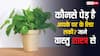 Vastu Tips For Plants: कौन से पेड़-पौधे हैं आपके घर के लिए लकी? जानिए वास्तु शास्त्र से