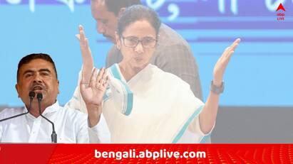 TMC BJP Target Fail TMC Leader Debangshu Bhattacharya attacks BJP Amit Shah Suvendu Adhikari TMC BJP Target On Election: ২০০-র টার্গেট দিয়ে যারা ৭৭ পায়, ১৮০-র টার্গেট সেট করে তারা ফাইনালি কত পেতে পারে? !