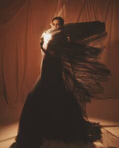 Triptii Dimri Pics: जालीदार डीपनेक गाउन में तृप्ति डिमरी ने दिखाई हसीन अदाएं, पलभर में वायरल हुईं तस्वीरें