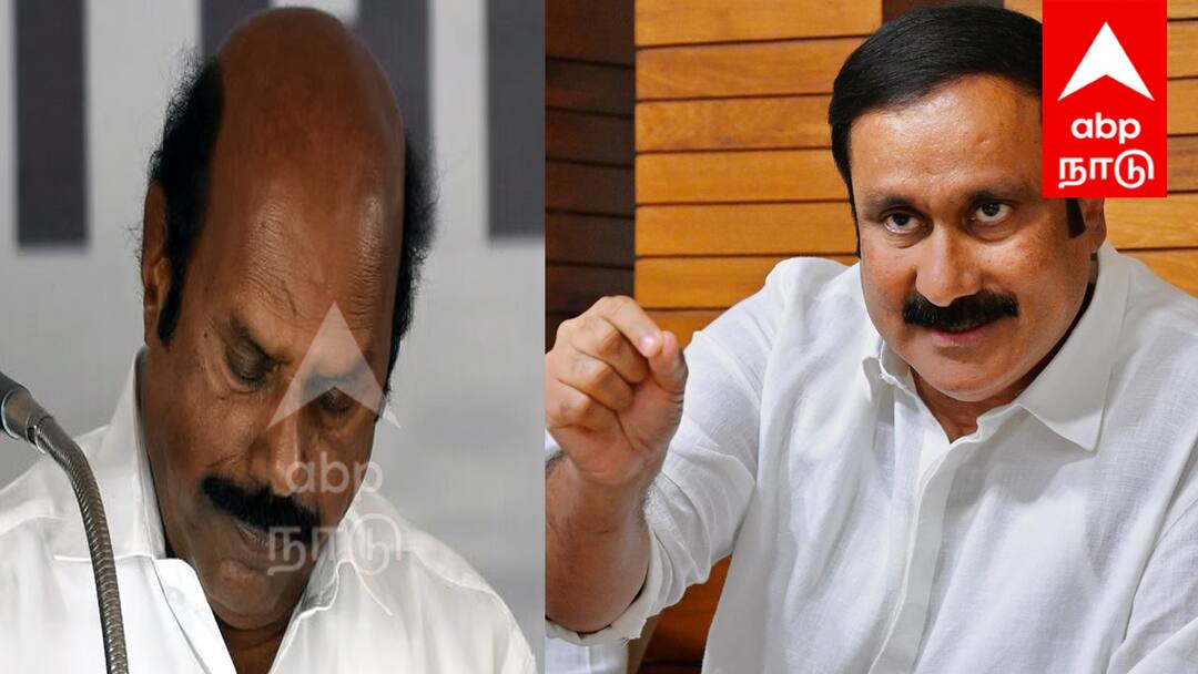 திமுகவுக்கு எத்தனை வாய்கள்? திமுகவினரும் உணவைத்தான் உண்ண வேண்டும் - அன்புமணி காட்டம்