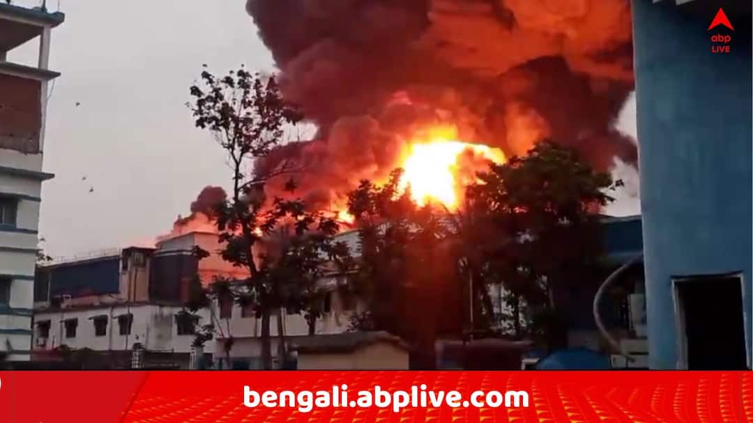 Howrah News Fire Breaks out at Sankrail Factory 15 Fire Station Engine try to control the situation Howrah News: হাওড়ার সাঁকরাইলে বিধ্বংসী আগুন ! বৃষ্টি শুরু হয়েও নিভল না শিখা, ঘটনাস্থলে দমকলের ১৫ ইঞ্জিন..