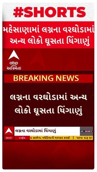 Mehsana: લગ્નના વરઘોડામાં અન્ય લોકો ઘુસી જતા થઈ મોટી મારામારી, એક મહિલા સહિત 4 લોકો ઈજાગ્રસ્ત