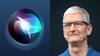Siri पर हो रहे काम को लेकर खुश नहीं हैं Apple के सीईओ Tim Cook, अब लिया यह बड़ा फैसला