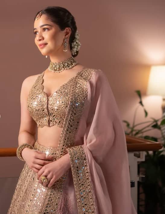 सारा का ये मिरर वर्क ब्लाउज आजकल काफी ट्रेंड में हैं. सितारा डिटेलिंग वाले इस ब्लाउज को सारा ने चोली स्टाइल में कैरी किया है. आप भी खुद को ग्लैमरस लुक देने के लिए इस ब्लाउज डिजाइन को कॉपी कर सकती हैं.