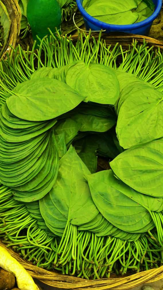 ছুঁতে পারবে না এই সমস্যাগুলি, খেয়েদেয়ে মুখে পুরুন পান