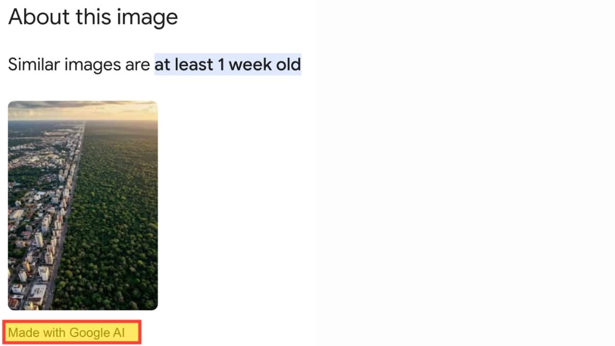 Fact Check: Don't Fall For This Image! The Beautiful 'Brazil' Landscape Next To Amazon Rainforest Is Not Real