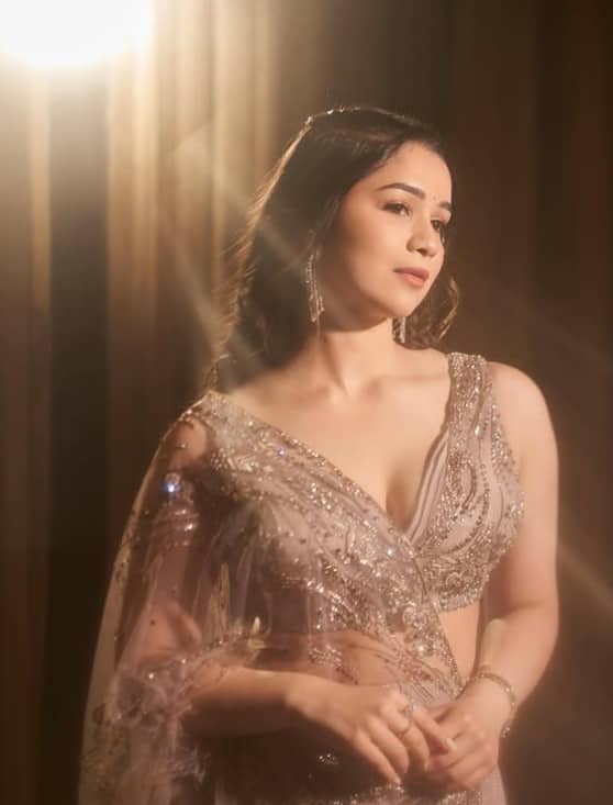 नेट की साड़ी के साथ सारा ने वी नेक मैचिंग ब्लाउज पेयर किया है.आप भी इस ब्लाउज डिजाइन से खुद को स्टाइल कर सकती हैं.