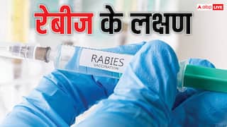 दूध पीने के बाद महिला की रेबीज से मौत, क्या गाय से भी फैल सकती है ये बीमारी...जानें लक्षण
