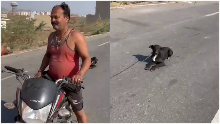 Man Drags Dog By Chain While Riding Bike In Rajasthans Udaipur பைக்கில் செயினை கட்டி நாயை தரதரவென இழுத்து வந்த நபர்! வெளுத்து வாங்கிய பெண் – வீடியோ