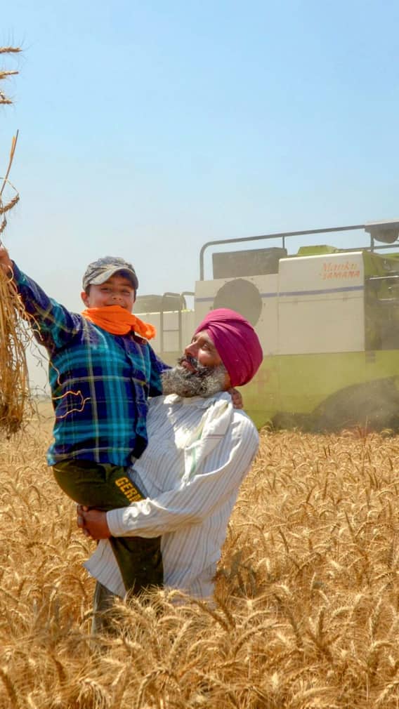 खेत नापने में उपयोग होने वाले खसरा और खतौनी में क्या अंतर होता है?