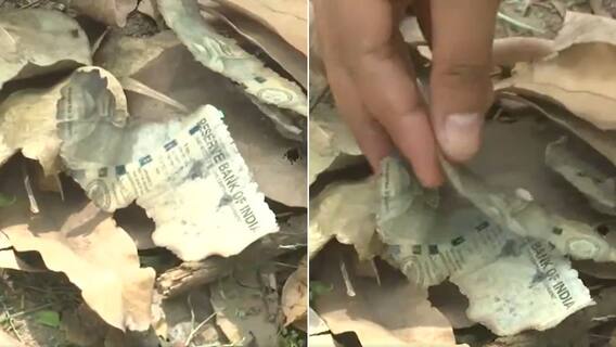 Video Shows Burnt Pieces Of Rs 500 Notes Near Justice Yashwant Varma's Residence — WATCH