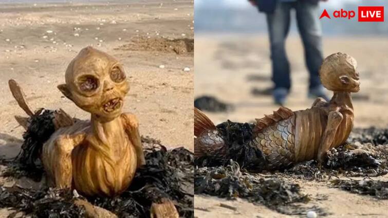 Mysterious creature found on the seashore with a fish like tail and an alien like face going viral मछली की पूंछ और शक्ल एलियन वाली! समुद्र किनारे टहल रहे कपल को मिला अजीब जीव, देखें तस्वीरें