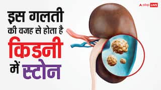 किडनी में पथरी होने के ये हैं सबसे बड़े कारण, कहीं आप भी तो नहीं कर रहे गलती?