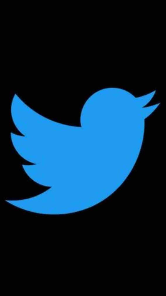 इतने रुपये में नीलाम हो गई ट्विटर की नीली चिड़िया!