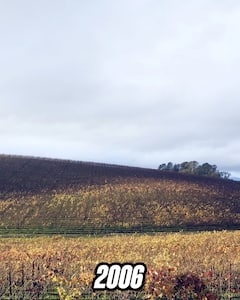 In Pics: बचपन में खूब देखा होगा कंप्यूटर स्क्रीन पर दिखने वाला ये वॉलपेपर, जानें कहां है ये जगह, अब कैसी दिखती है?