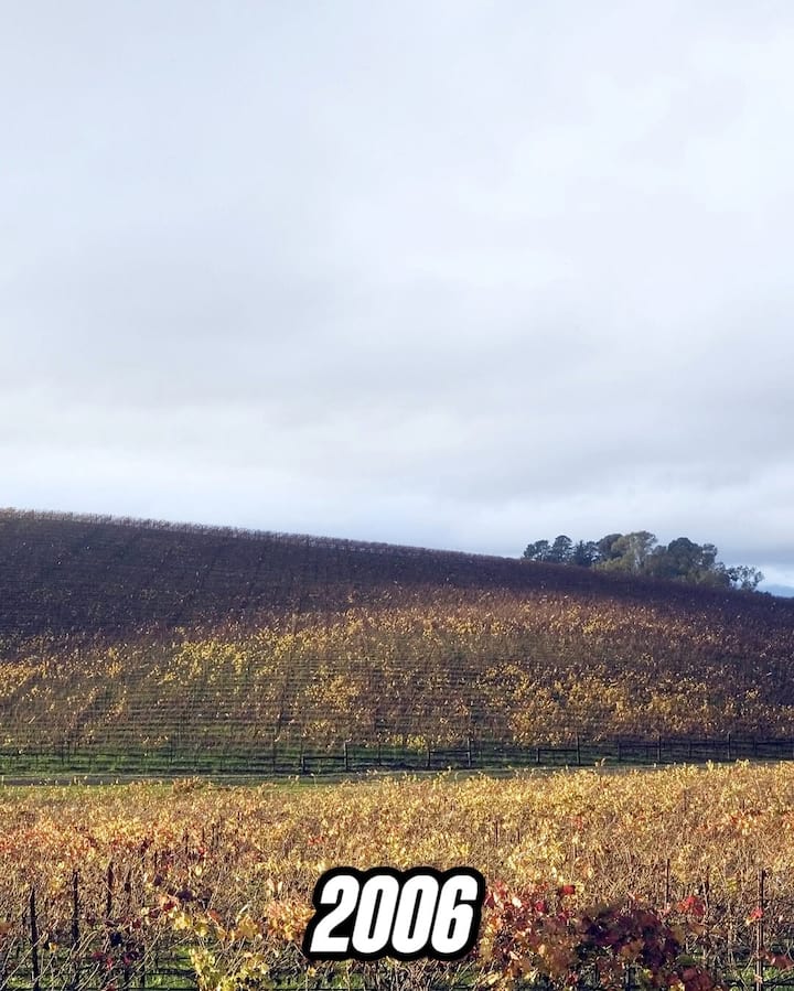 दरअसल,इस तस्वीर को खींचने के बाद चार्ल्स ने उसे कॉर्बिस नाम के एक प्लेटफॉर्म पर अपनी इस फोटो को डिजिटाइज किया और उसके लिए लाइसेंस हासिल किया. ऐसा करने वाले चार्ल्स दुनिया के चुनिंदा फोटोग्राफरों में से एक थे.