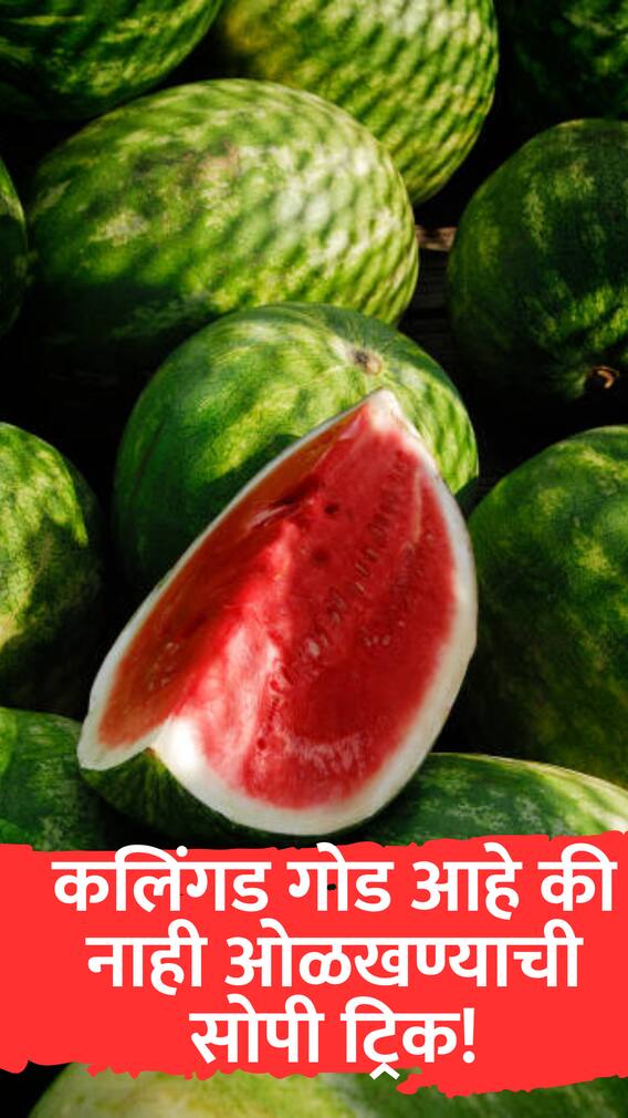 कलिंगड गोड आहे की नाही ओळखण्याची सोपी ट्रिक