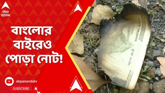 স্টোররুমের পর এবার দিল্লি হাইকোর্টের বিচারপতির বাংলোর বাইরেও পোড়া নোট!