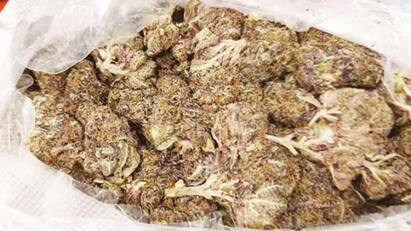 Trichy crime Rs.5 crore value Hydroponic drugs smuggled to Trichy airport tnn புதுசு கண்ணா... இது ரொம்பவே புதுசு..ரூ.5 கோடிப்பு... திருச்சியில் அதிகாரிகள் அதிர்ச்சி