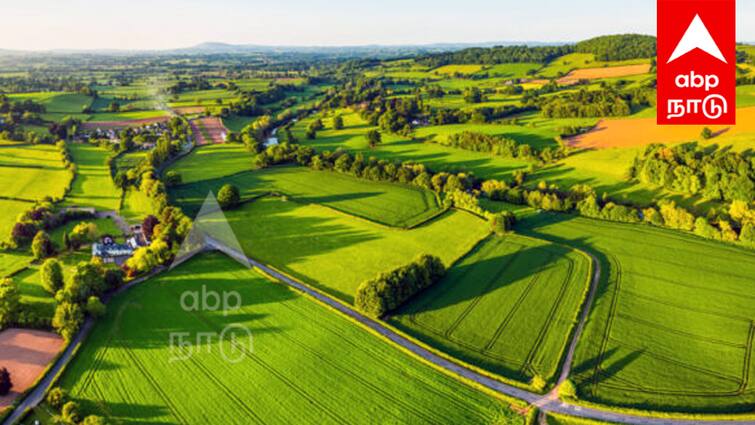 TAHDCO Land Purchase Scheme in Tamil Maximum of 2.5 Acres of Land Can Be Purchased TNN இவ்வளவு நாள் இது தெரியாம போச்சி... அரசு மானியத்துடன் நிலம் வாங்க கடன் கொடுக்குறாங்களா?