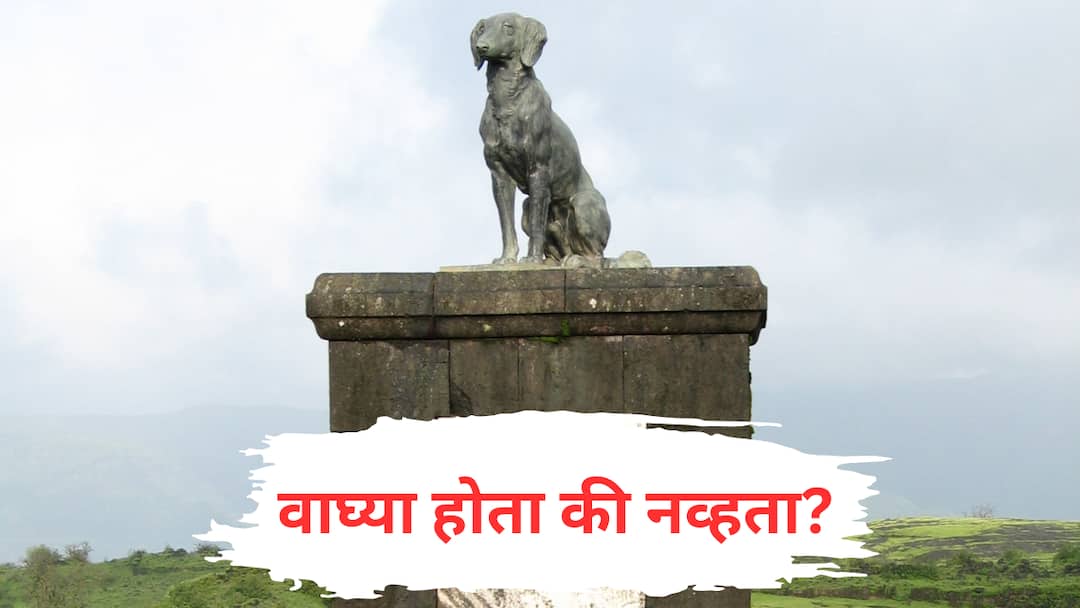 raigad fort waghya kutra samadhi dispute asi protection sambhajiraje chhatrapati demanded to demolish dog statue marathi news  Raigad : वाघ्या होता की नव्हता? औरंगजेबनंतर आता रायगडवरील वाघ्या कुत्र्याच्या समाधीचा वाद